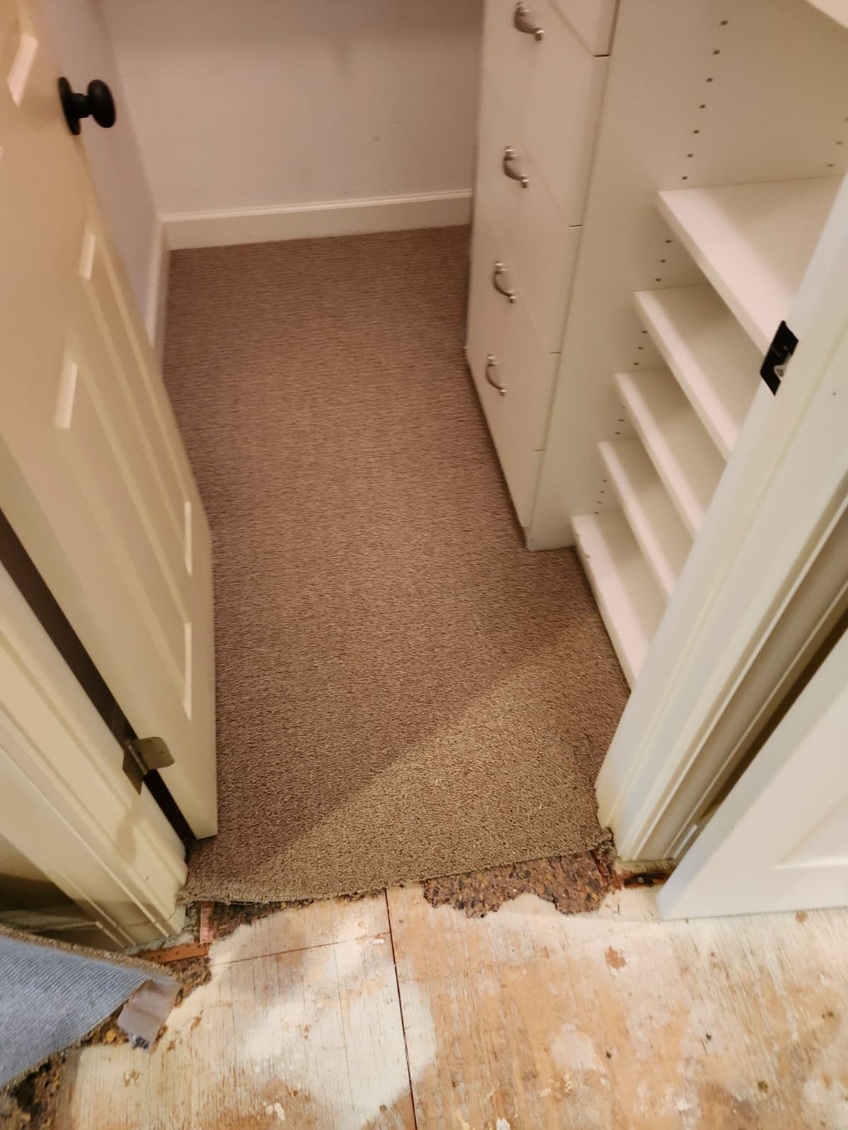 Flooring project