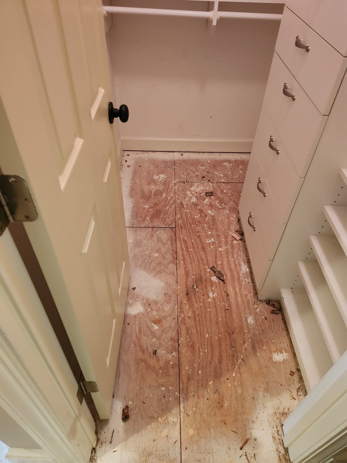 Flooring project